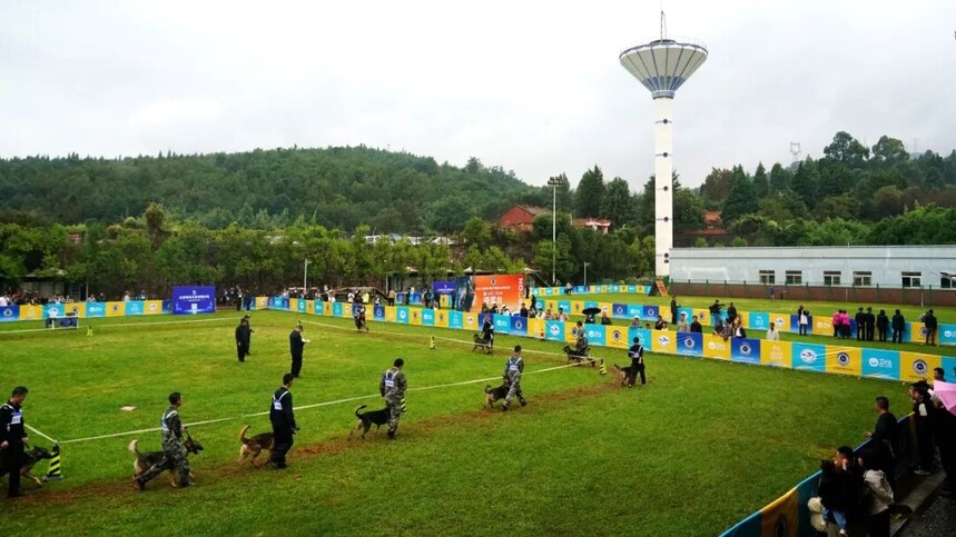 1760795260497753.jpg 微信图片_20251018211610.jpg