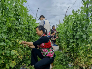 1760926849899782.png 4.png