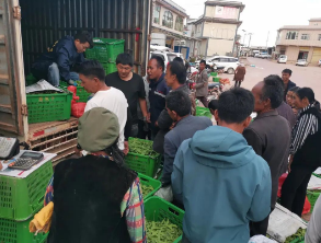 1760926891227686.png 5.png