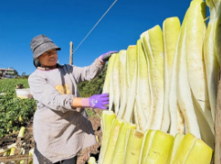 1760926932249547.png 6.png