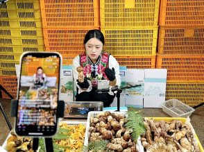 1760926967504917.png 7.png