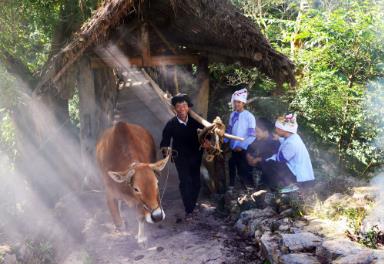 1761026469266914.jpg 360截图20251016102441458.jpg