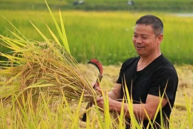 1761131983197809.jpg 11.jpg