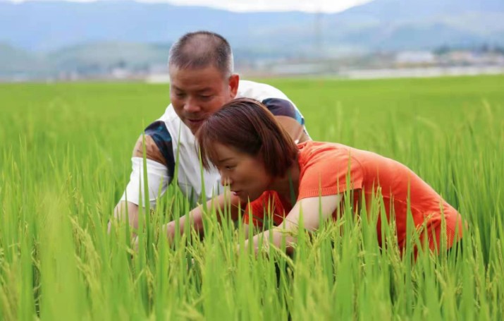 1761132034867542.jpg 13.jpg