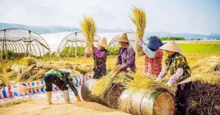 1761132096330042.jpg 16.jpg