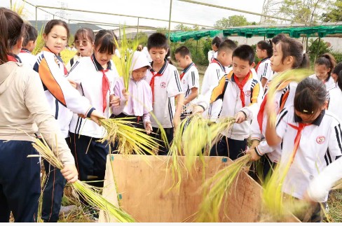 1761132178560940.jpg 12.jpg