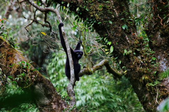 1761274152824022.png 4.png