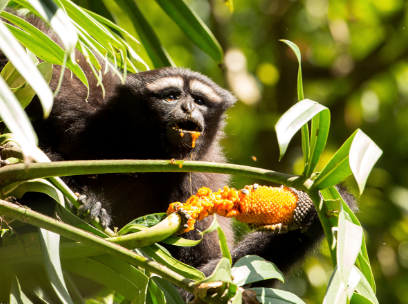 1761274207980488.png 5.png