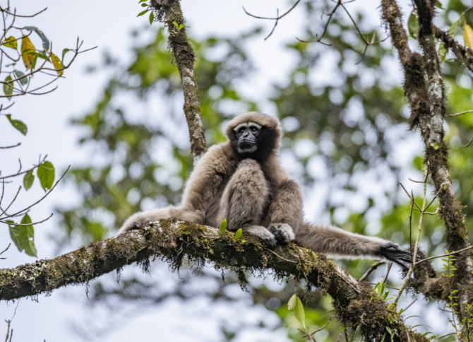 1761274240432566.png 7.png