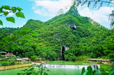 云南 “桃源使者”杨丽枫：扎根柔软坝美 打造灵魂栖息地