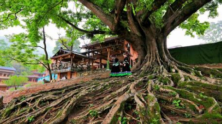 1761616503915962.jpg 360截图20251016102441458.jpg