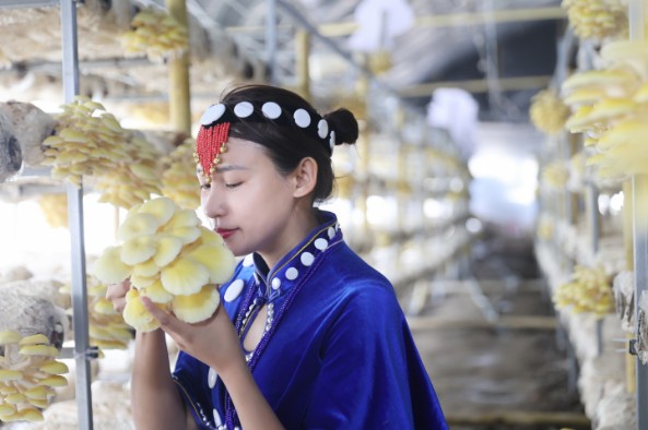 1761749238988719.jpg 16.jpg