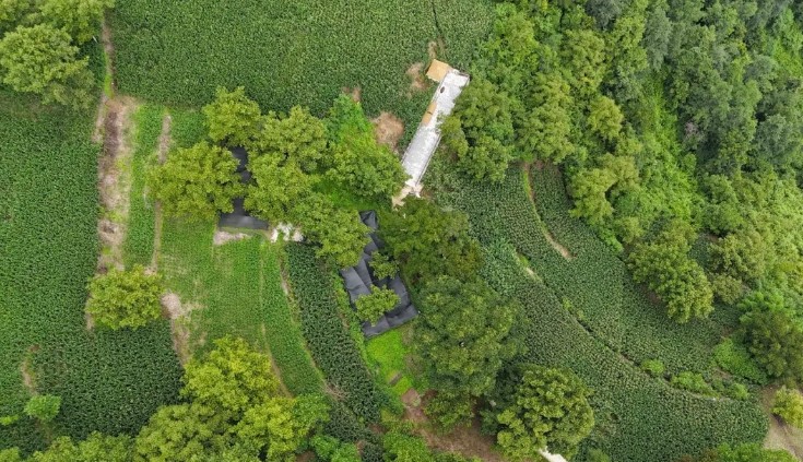 1761749268486665.jpg 15.jpg