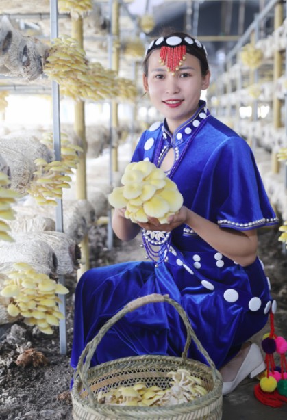 1761749409492550.jpg 13.jpg