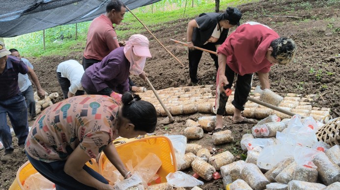 1761749447165620.jpg 12.jpg