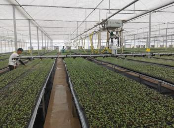 1762158563266780.jpg 360截图20251102113908290.jpg