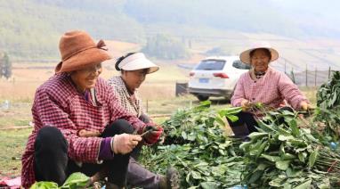 1762219602460893.jpg 360截图20251016102441458.jpg