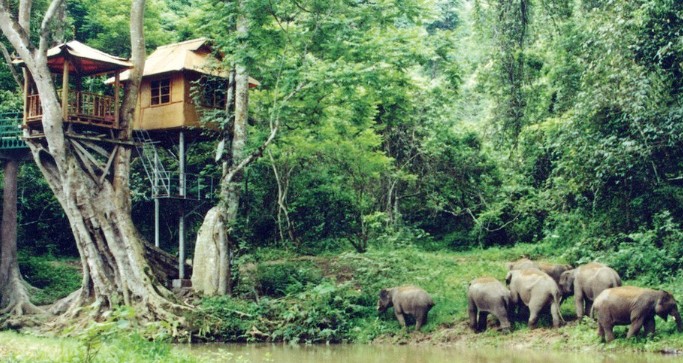 1762506648868293.jpg 12.jpg