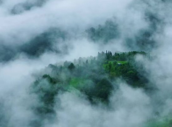 1762506707876156.jpg 11.jpg