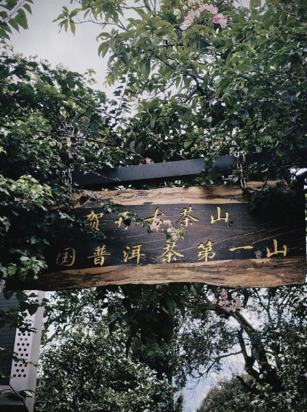 1762506771857222.jpg 9.jpg