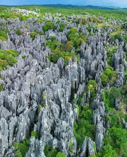 1762690317687534.jpg 360截图20251107162158170.jpg