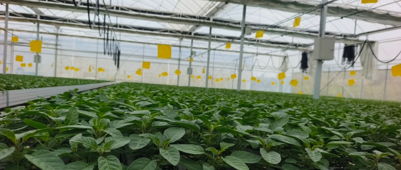 1762690439792442.jpg 18.jpg