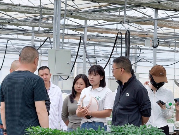 1762690487589589.jpg 16.jpg