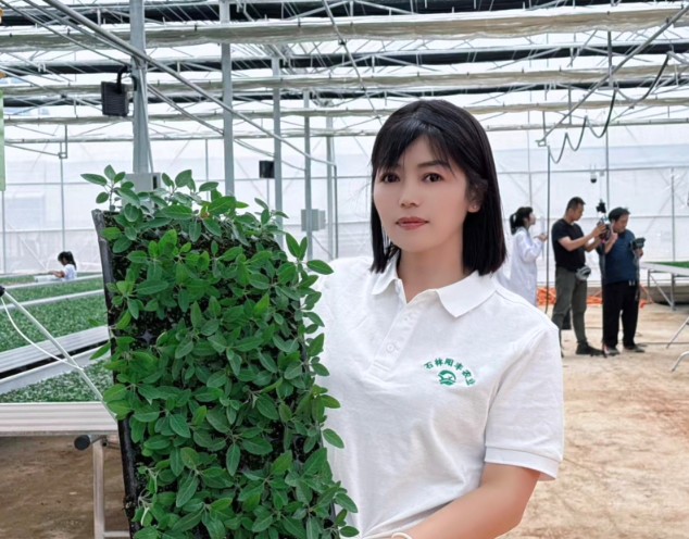 1762690512363628.jpg 15.jpg