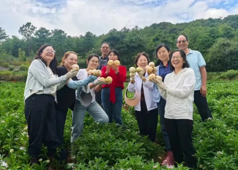 1762690539273420.jpg 13.jpg