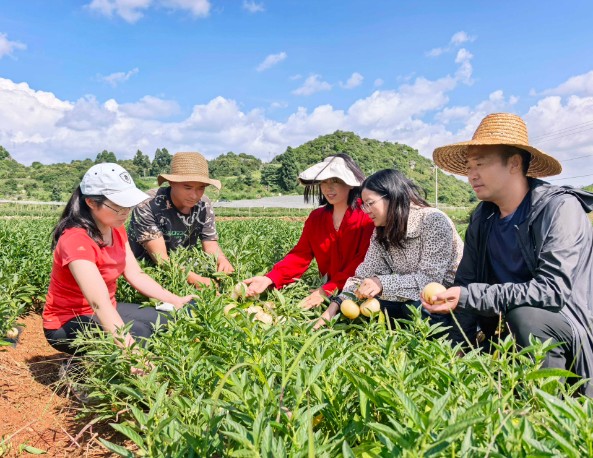 1762690564602133.jpg 12.jpg