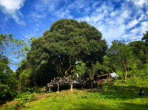 1762921203162876.jpg 360截图20251016102411734.jpg