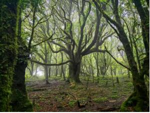 1762921228348349.jpg 360截图20251016102441458.jpg