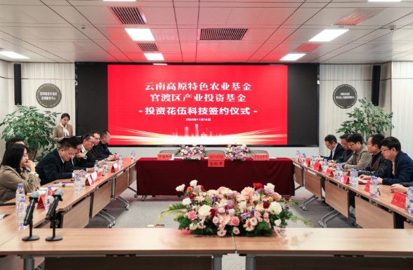 1763550980164567.jpg 18.jpg