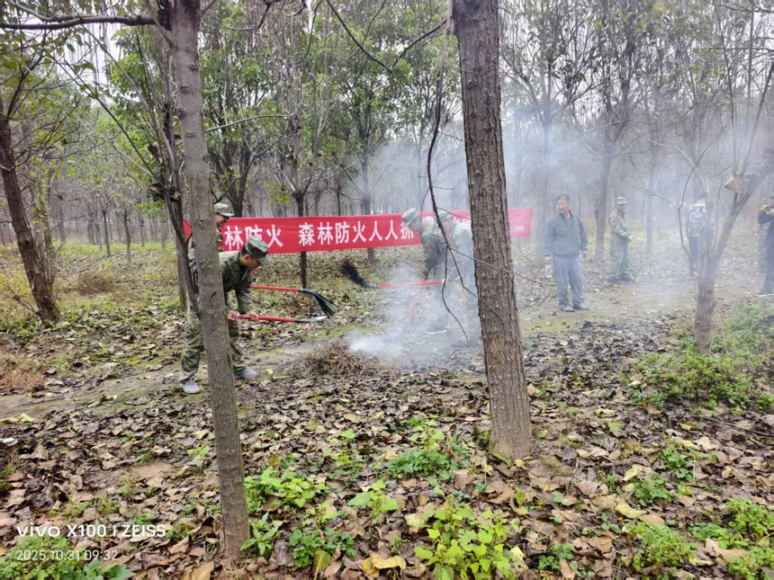 1764060779776945.png 图片1.png