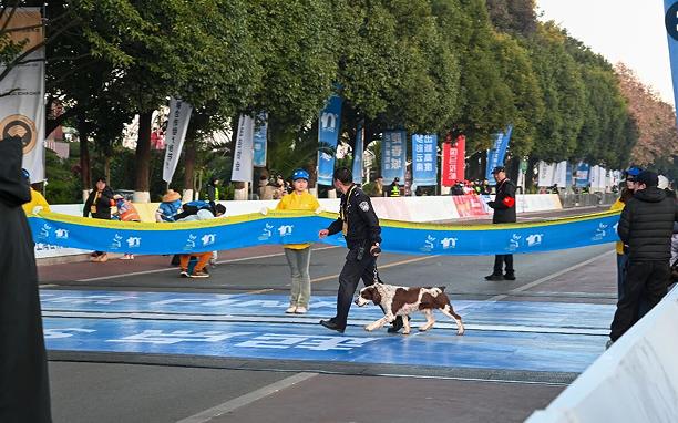 1764557365629124.jpg 6.jpg