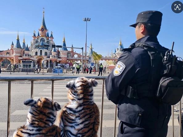 1764557380375811.jpg 7.jpg