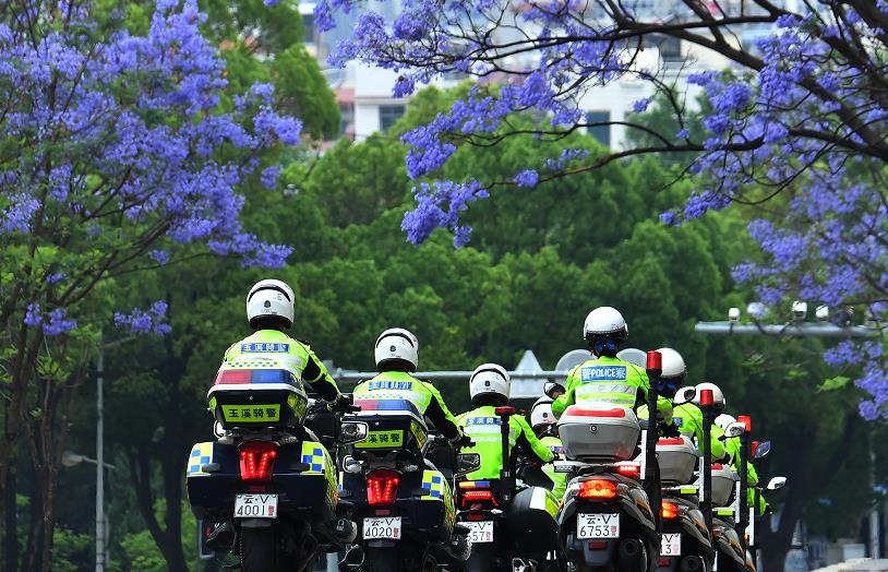 1765260156777145.jpg 4.jpg