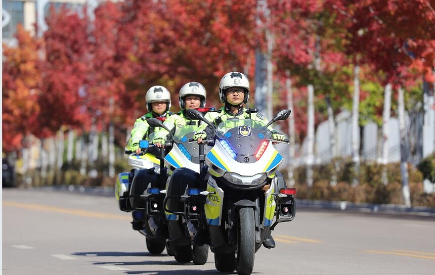 1765260192789595.jpg 5.jpg