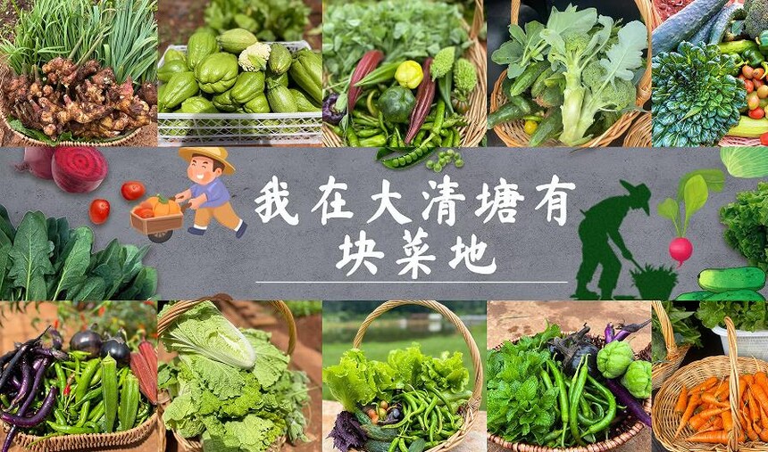 1765528744343502.jpg 9.jpg