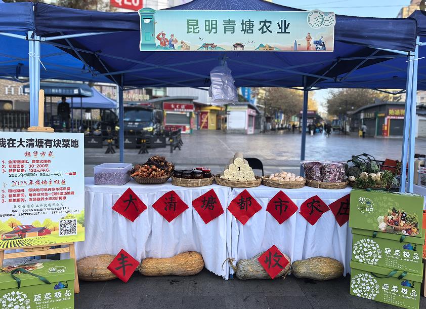 1765528770163673.jpg 10.jpg