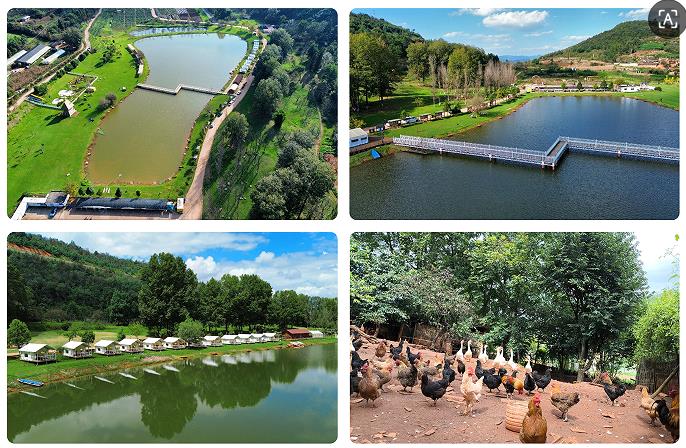 1765528802202426.jpg 11.jpg