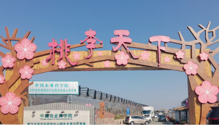 1765887378412960.png 39a9c569-ca0f-4551-9832-96284f0e0440.png