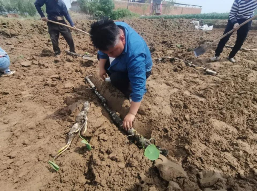 1766558709525708.png 74dbcee805544531f014d72ebcbeb1ae.png