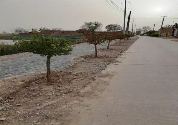 1766558762515235.png 98576781401dc5d912b3450789e4bc6a.png