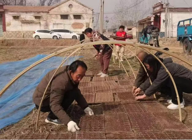 1766558780963746.png f7c08a37be25b9235633af11babf745d.png