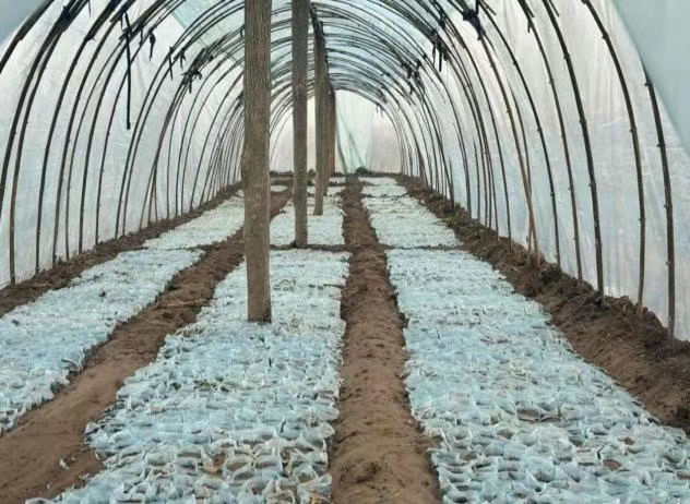 1766558791995628.png 3fd9afdd57ce327b49a10432213929b3.png