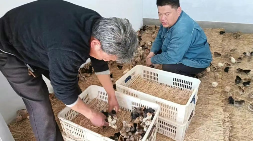 1766558811344513.png 50db9762e8f142bebccb8a534c7c130d.png