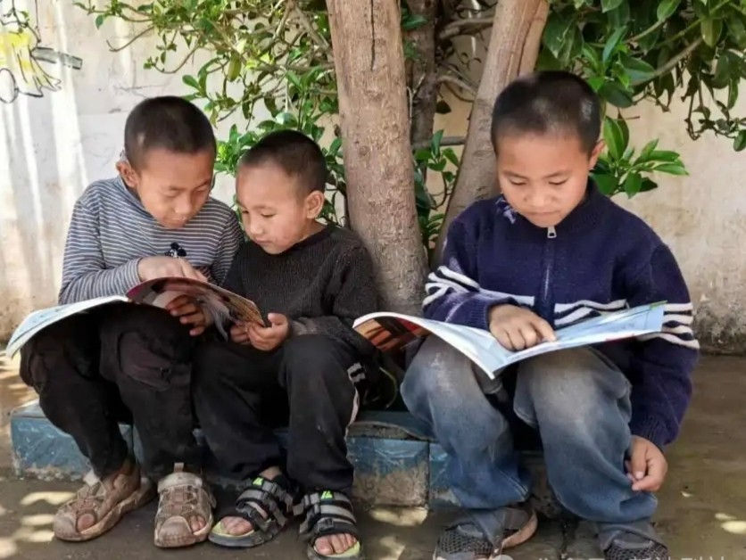 1766734156792187.jpg pic(10).jpg