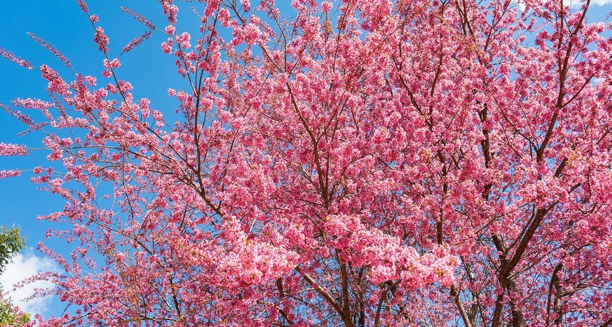 1767063548616242.jpg 0.jpg