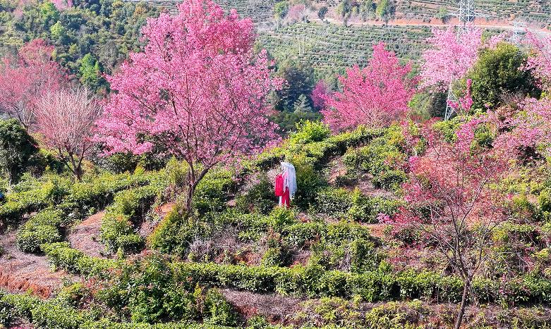 1767063625133164.jpg 1.jpg